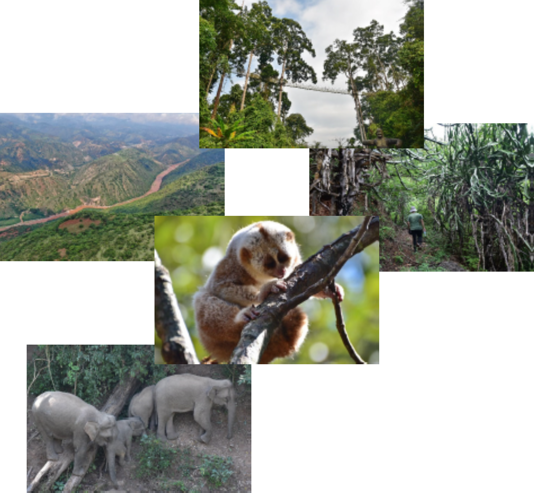 Impressions of post-conference field trip, China  &copy; XTBG